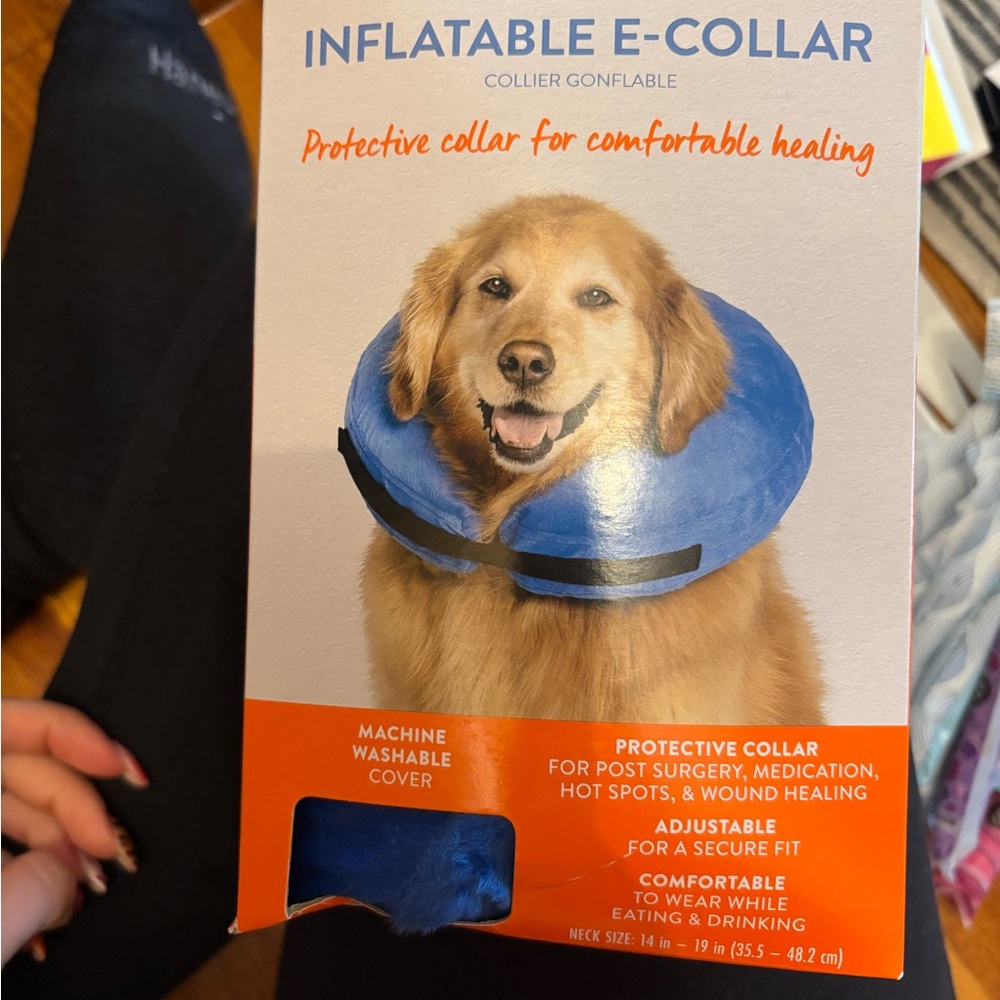 Blue Inflatable E-Collar for Dogs